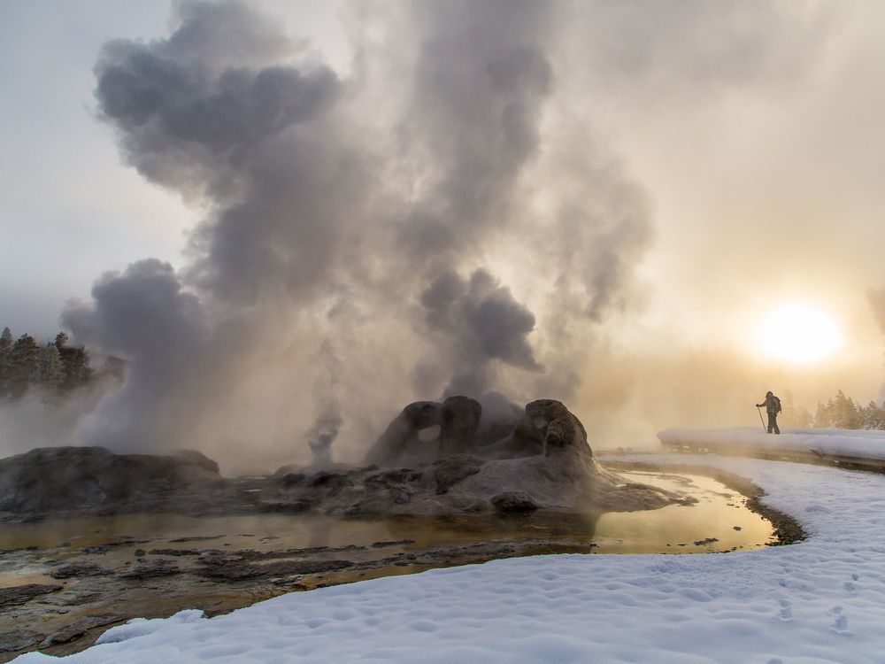 Grotto Geyser in Yellowstone National Park