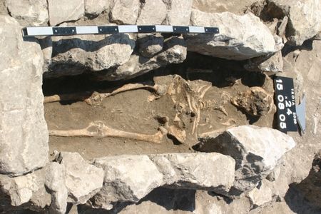 Skeleton of the Trojan woman