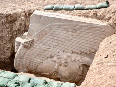 The newly re-excavated 2,700-year-old lamassu&mdash;a winged bull with a human head&mdash;at the site of the ancent city of Dur-Sharrukin in northern Iraq