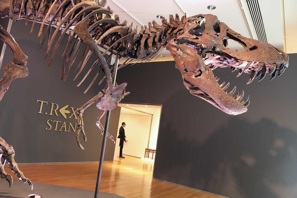 Stan the T. rex