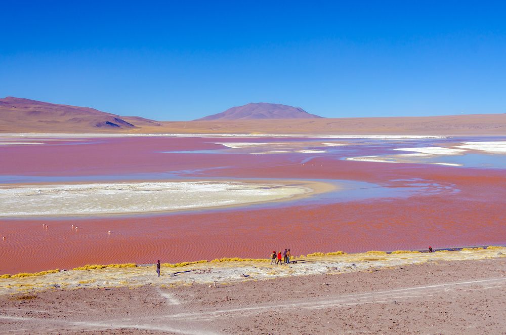 Laguna Colorada, Bolivia