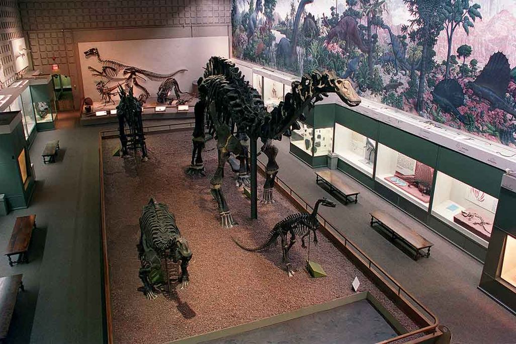 grand hall