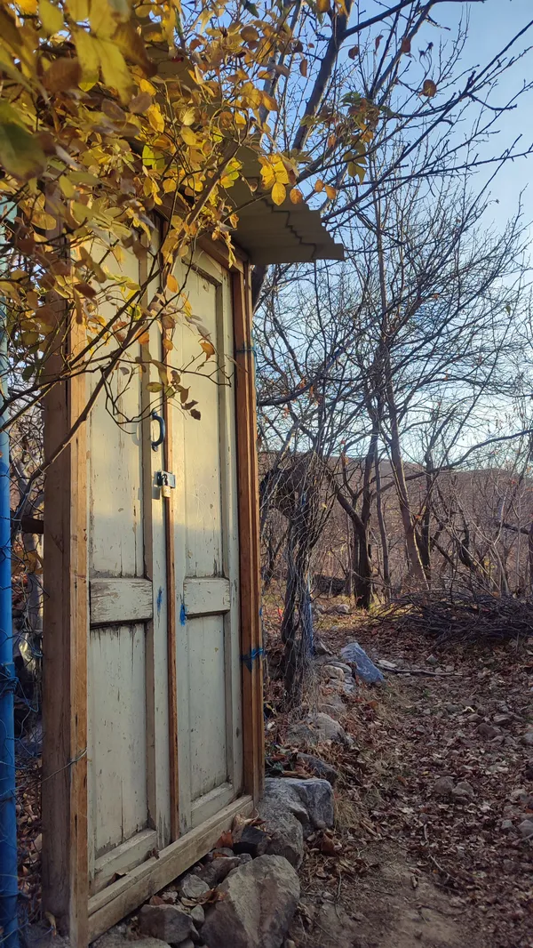 without walls thumbnail