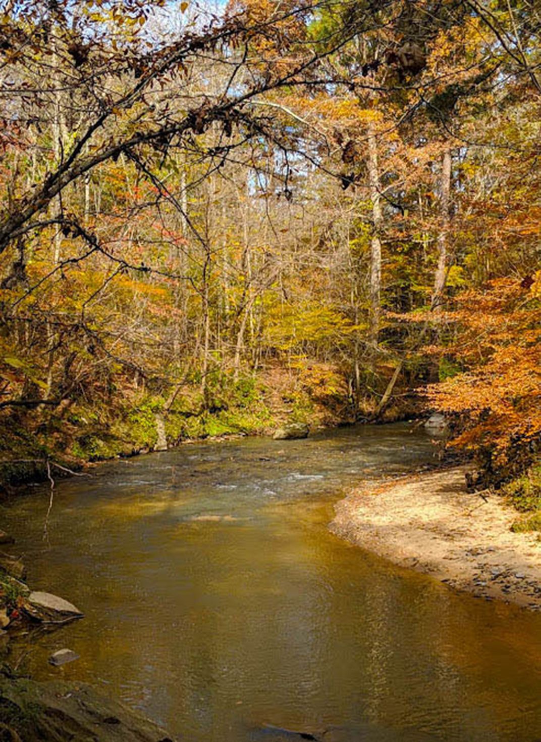 rottenwood creek ravine video