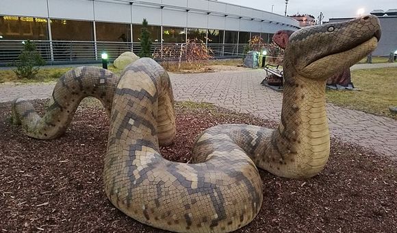 Titanoboa Model.jpg