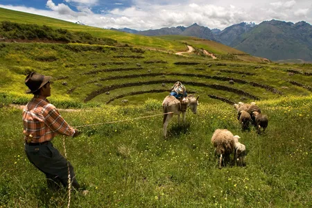 Stone steps descend as far as 500 feet into the Moray concentric agriculture terraces near Maras, Peru, crossing a temperature differential of some 60 degrees. Ancient innovators may have domesticated and hybridized plant species here, using temperature ranges to simulate conditions found across the far-flung Inca Empire.