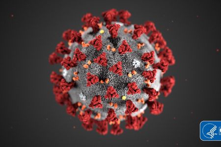 An illustration of the new coronavirus. Coronaviruses are named for the spikes on their outer surface, which look like points on a crown. (CDC)