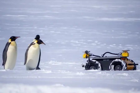 The vehicle, ECHO, was designed by the&nbsp;Marine Animal Remote Sensing Lab&nbsp;at Woods Hole Oceanographic Institution in Massachusetts. ECHO&nbsp;is part of a large-scale research project that monitors the impact of human-induced climate change on the Southern Ocean.