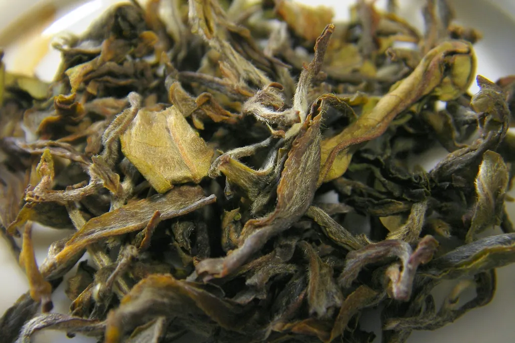 darjeeling