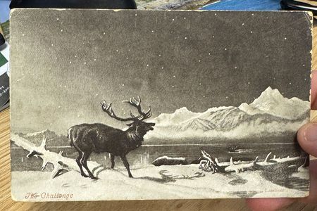 The front of the postcard features a print of&nbsp;The Challenge&nbsp;(1844) by&nbsp;English artist Edwin Henry Landseer.