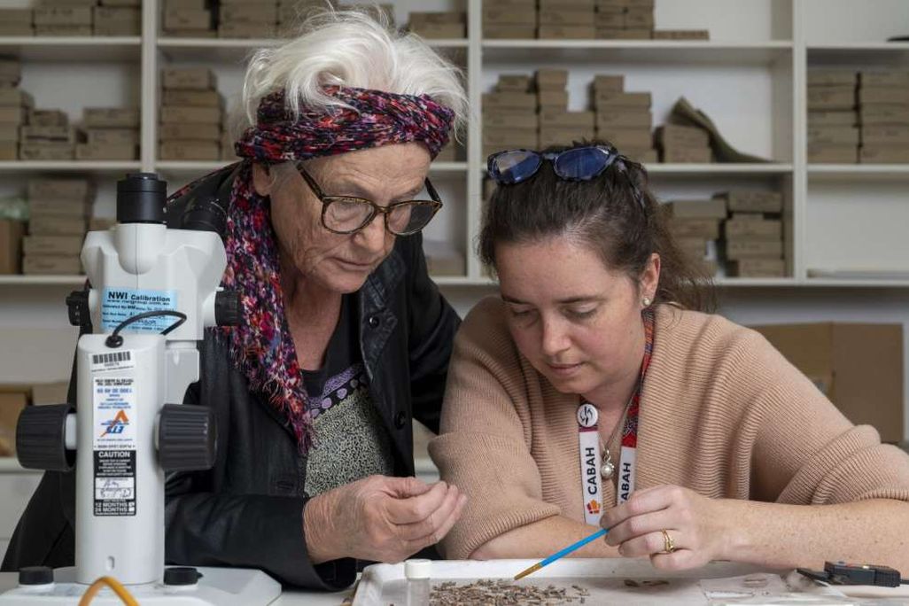 Sue O'Connor (left) and Shimona Kealy (right) study artifacts discovered in Timor-Leste
