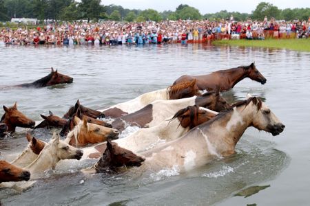 The ponies of eastern Maryland and Virginia, seen here in 2002, were made famous in the book "Misty of Chincoteague."