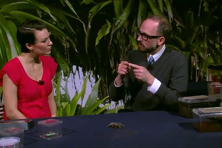 Insect expert Dan Babbitt talks about the Chilean Rose Tarantula on “Smithsonian Science How,” a video series for students. (Smithsonian Institution)