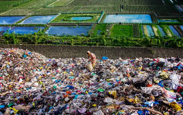 Searching for Essential survival items in the garbage dump beside the green nature thumbnail