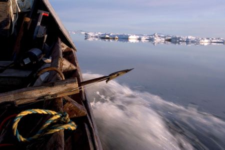 Inupiat hunters set out with harpoons to catch seals during the spring hunt of June 13, 2005, on the Chukchi Sea near Shishmaref, Alaska. 