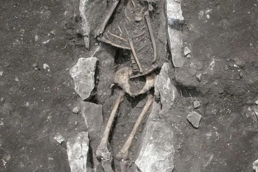 Greek Skeleton