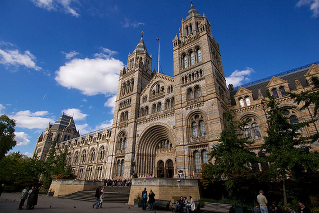 The London Natural History Museum