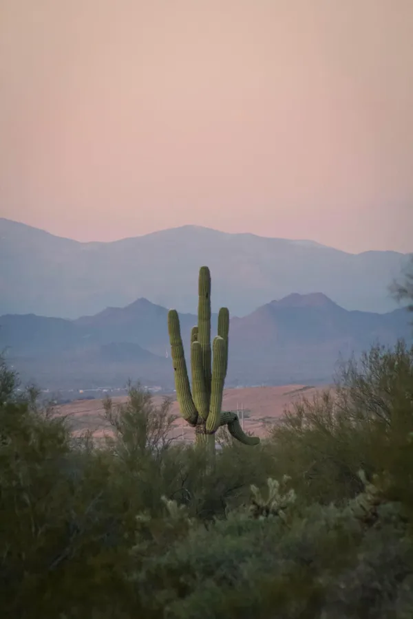 Sunset in the Arizona desert thumbnail