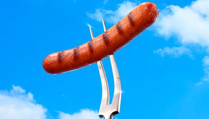 Get Your Red-Hot History Lesson! How the Hot Dog Rose From Coney Island Carts to Platters at Presidential Picnics