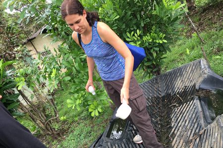 Mosquito researcher Kelly Bennett, turkey baster in hand, is on the prowl, collecting specimens for study