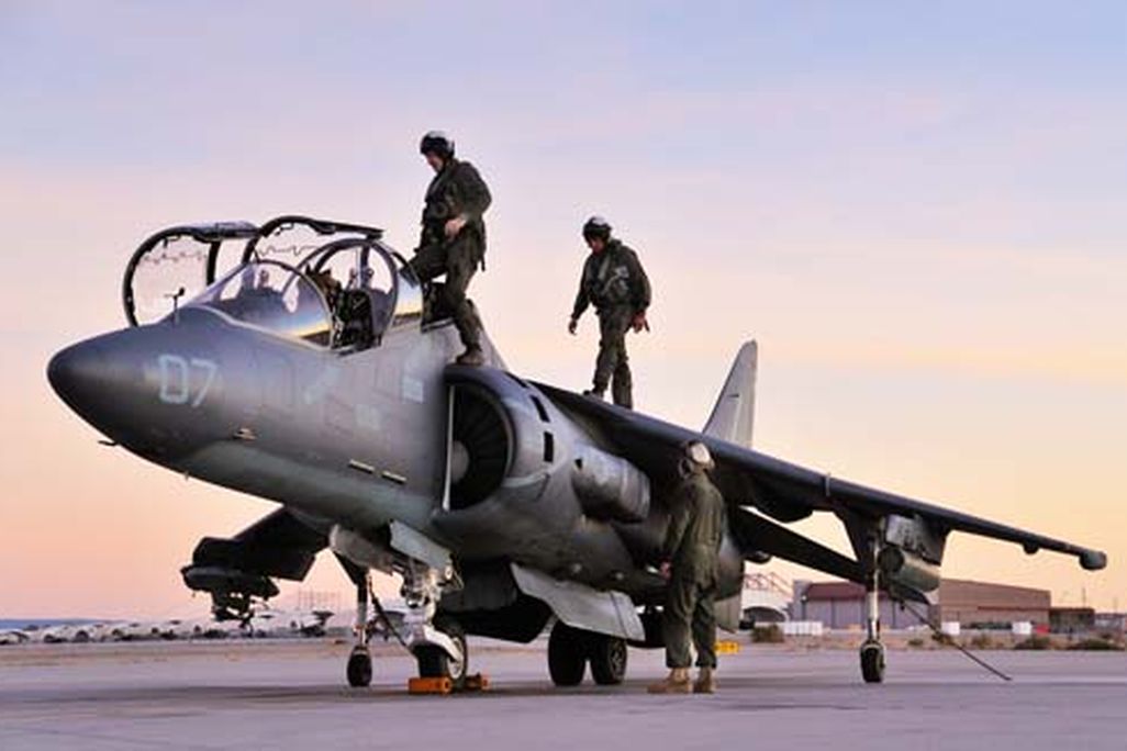harrier-505.jpg
