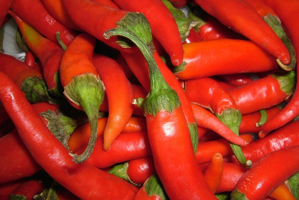 hot peppers.jpg