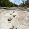 Drought Exposes Dinosaur Tracks in Texas icon