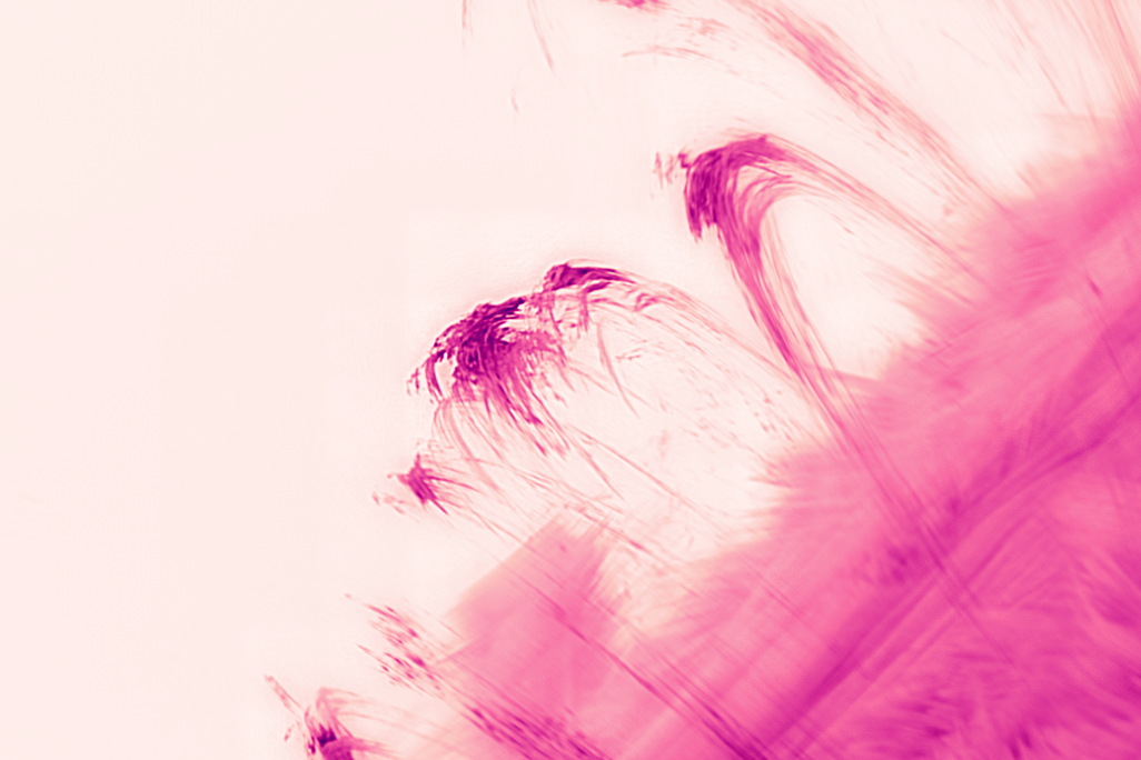 solar prominences shown in high detail and close up, colorized in pink