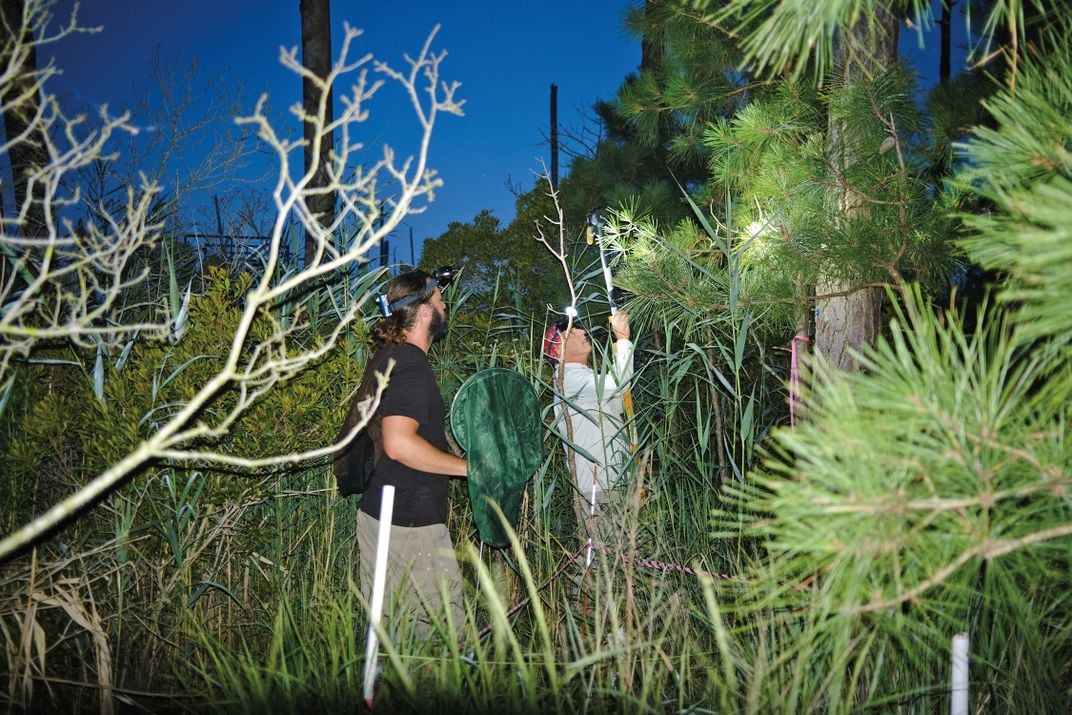 two men in the woods at dawn