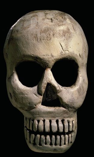 20110520110636skull_AAM.jpg