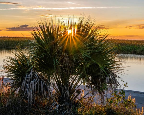 An Everglades Sunset thumbnail