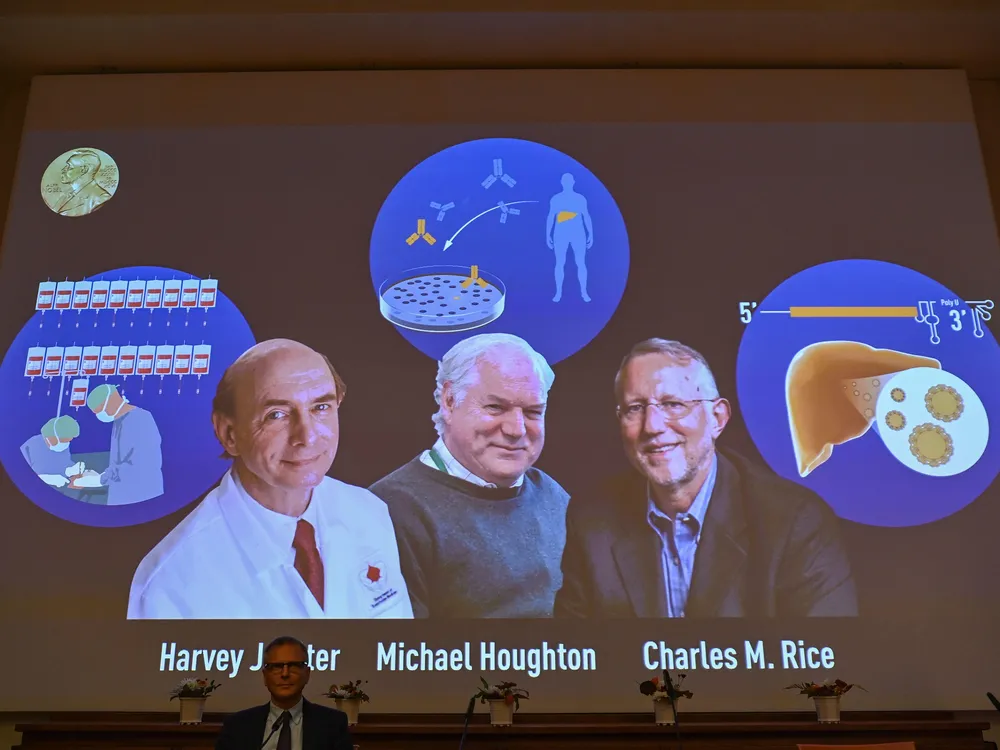 Nobel Committee member Patrik Ernfors sits in front of a screen displaying the winners of the 2020 Nobel Prize in Physiology or Medicine, (L-R) American Harvey Alter, Briton Michael Houghton and American Charles Rice, during a press conference