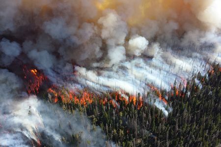 In a newly released report, a team of nearly 100 scientists from around the world stress the urgency of combating climate change.