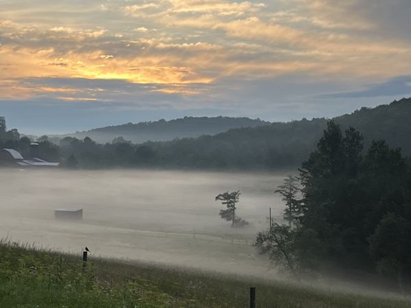 Sunrise departure enveloped by morning fog thumbnail