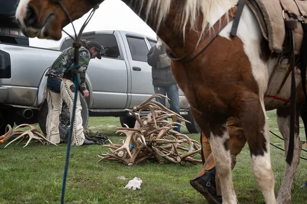 Opening Day thumbnail