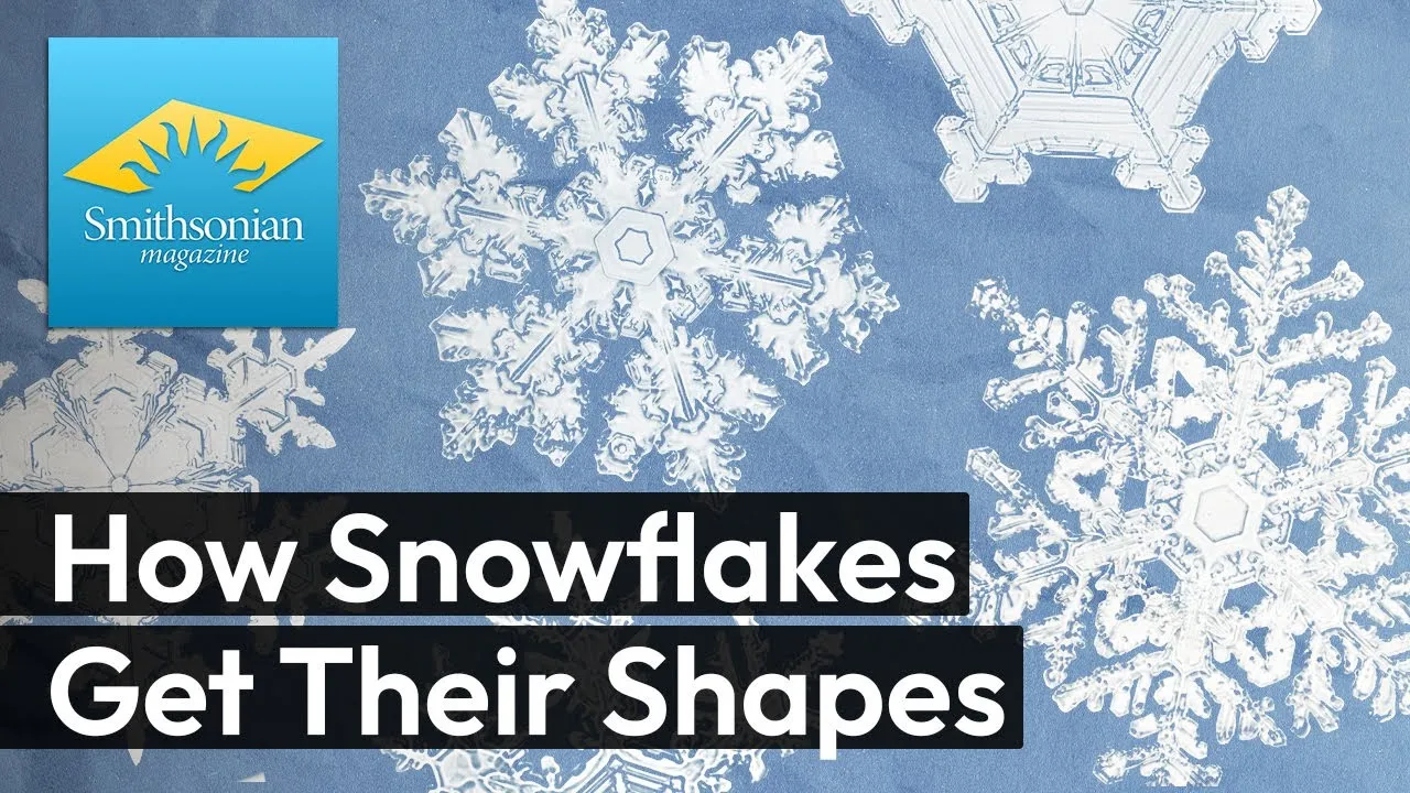 Preview thumbnail for From Cloud to Crystallization: The Science of Snowflake Formation