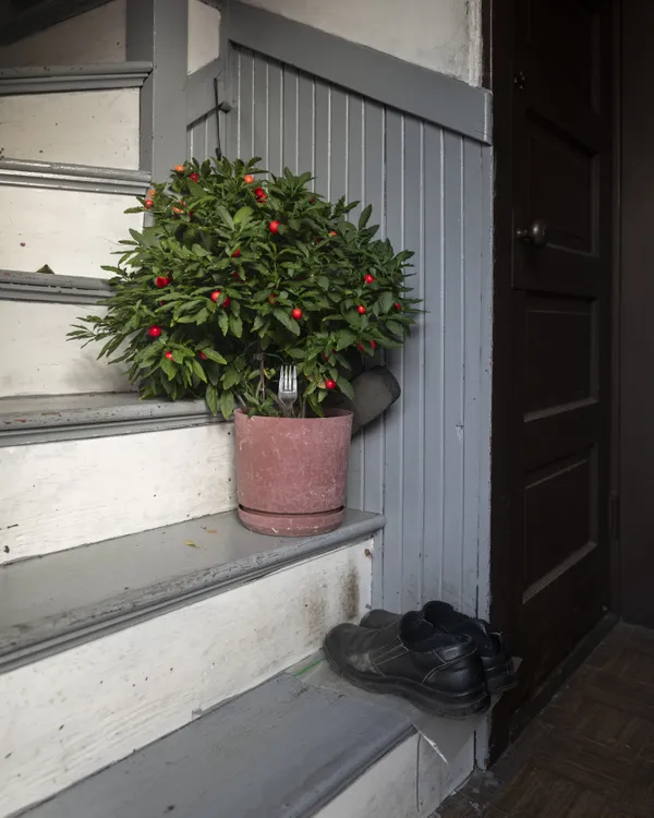 Mr. Lam's Shoes thumbnail