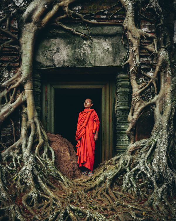 Novice Monk in Contemplation thumbnail