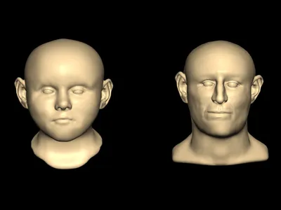 Digital facial reconstructions of two of the individuals found in the well, based on skeletal remains and DNA