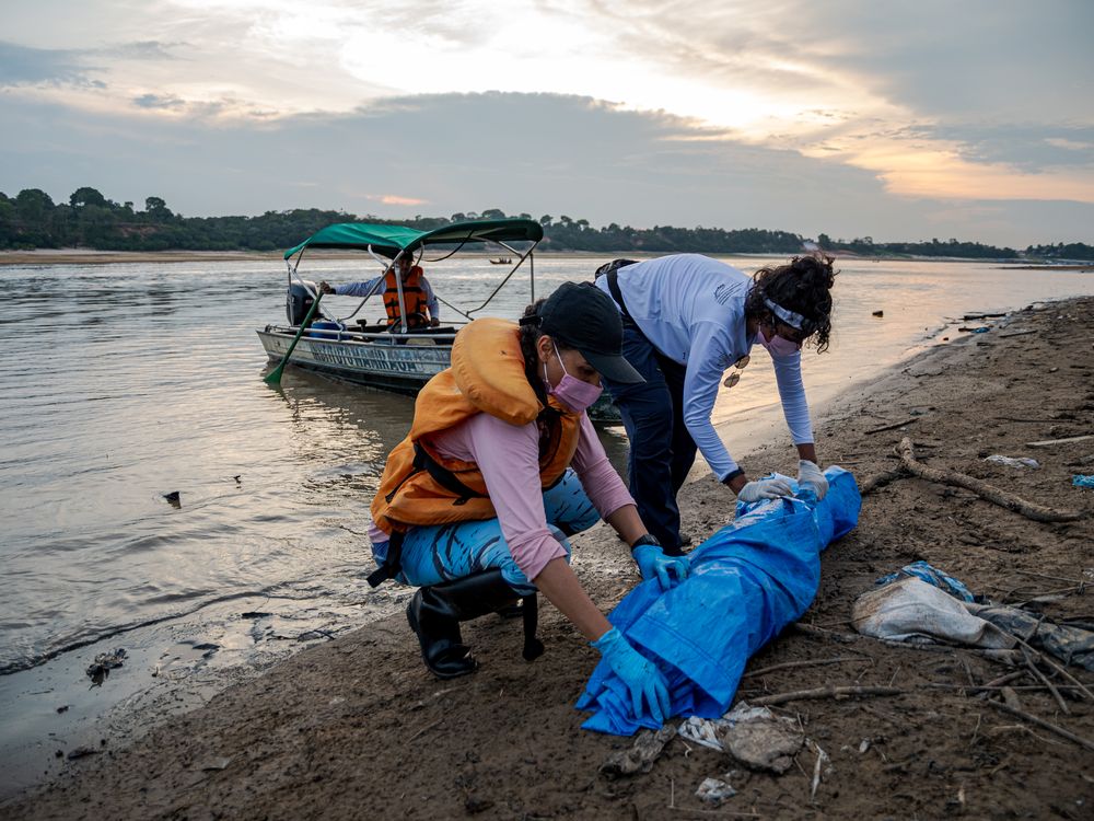 Two women rolling up a blue tarp next to water