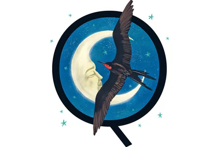 One reader wonders how birds stay balanced on tree branches while they&rsquo;re asleep.&nbsp;
&nbsp;