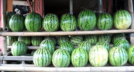 Delicious looking watermelons