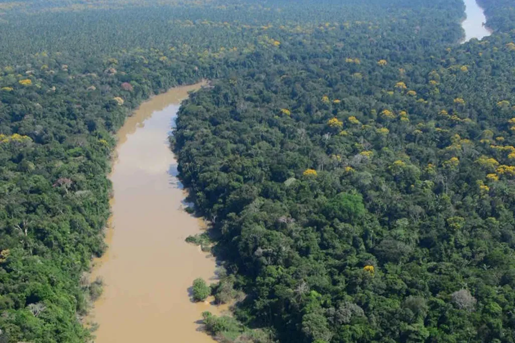 Aerial view of the Algodón River