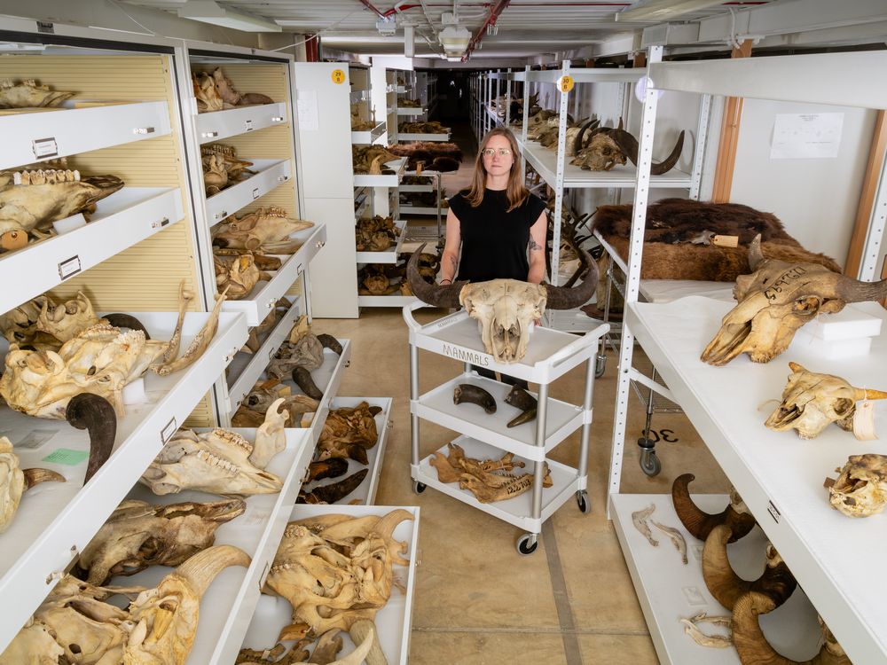 NMNH-2025-01929 (1).jpg