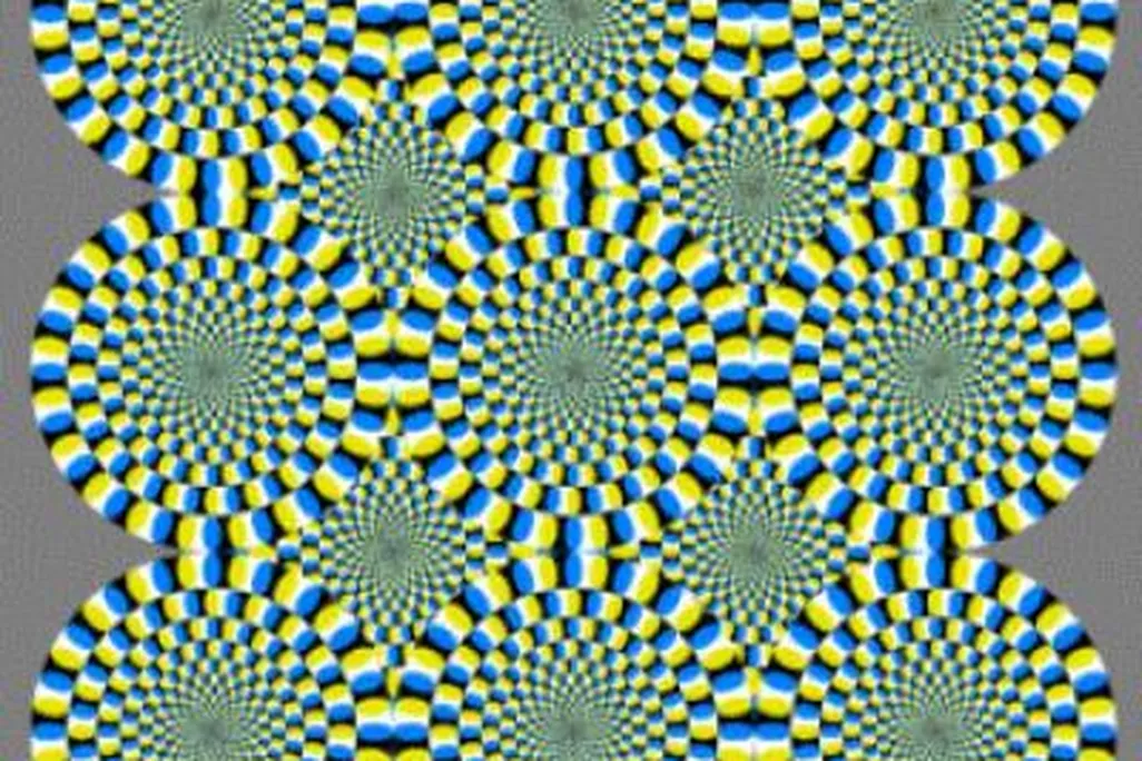 20110520104030rotatingsnakes.jpg