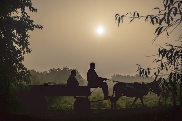 On the road between the crops thumbnail