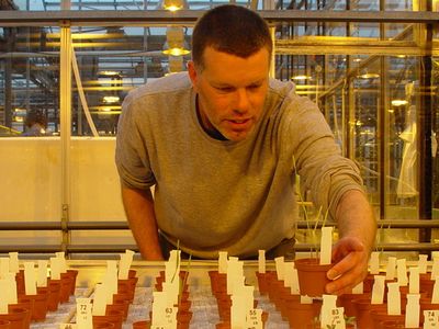 Wieger Wamelink inspects his "Martian" crops 