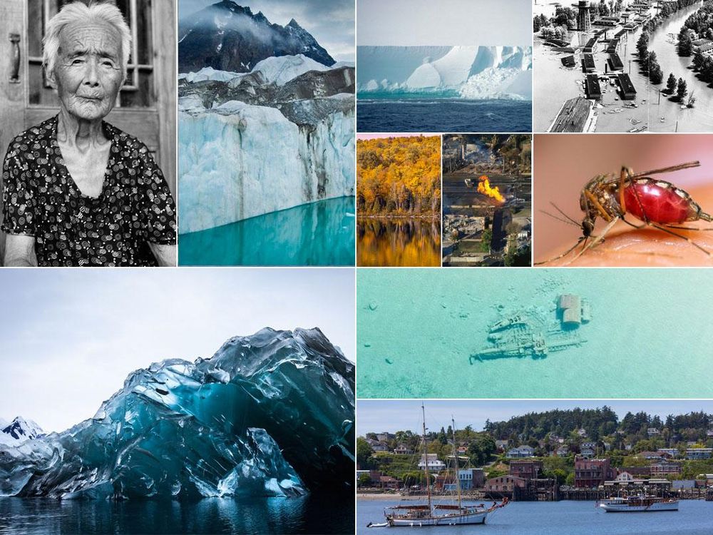 2015-Best-Collage.jpg