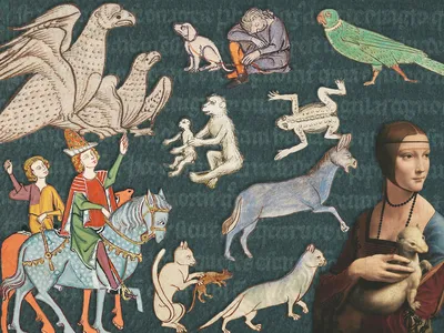 Magic was just another tool in a medieval animal healer&#39;s toolbox.