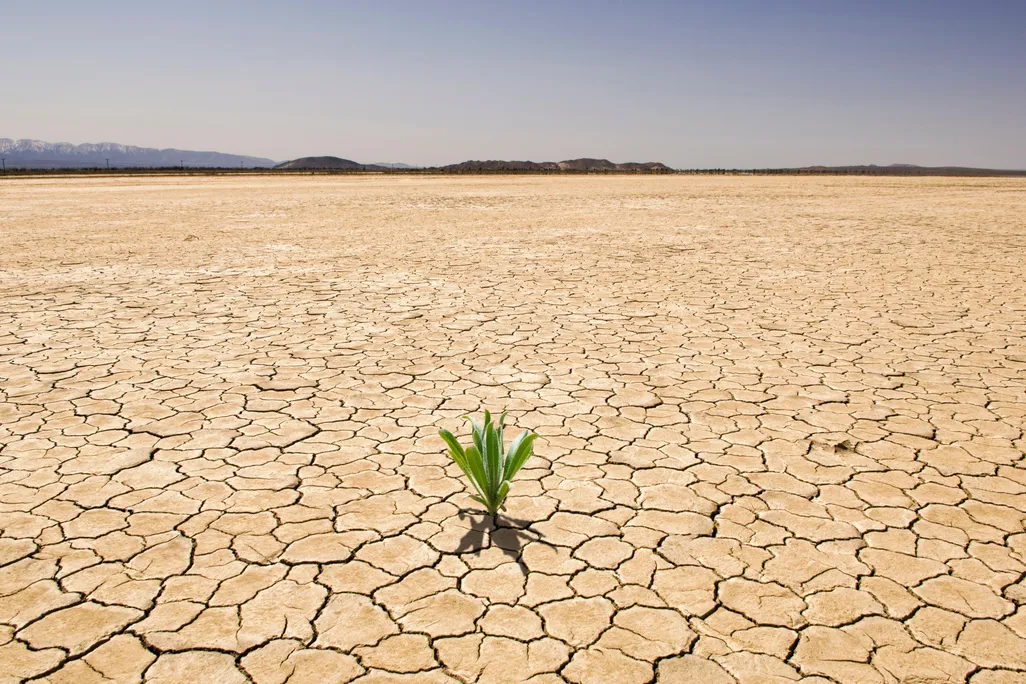 Drought